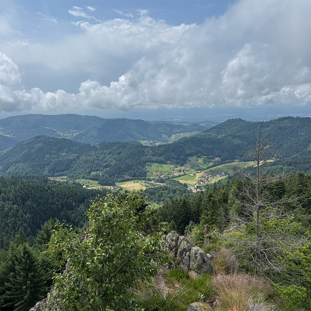 Markus Benkeser gibt ein Intzerview