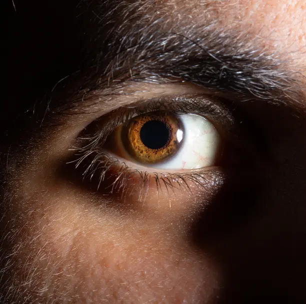 Gros plan sur un œil humain avec un regard intense, symbolisant la conscience, l’émotion et l’exploration intérieure