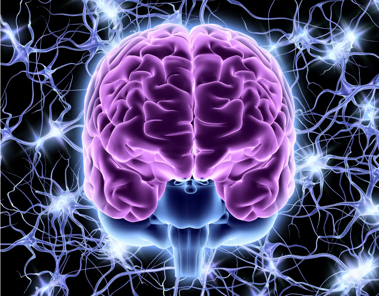 Illustration lumineuse du cerveau entouré de neurones, représentant l’activité cérébrale, la connexion neuronale et le bien-être mental