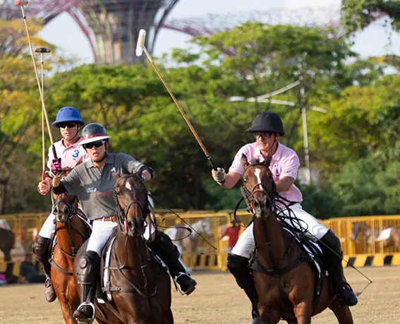 Polo Classic Cup