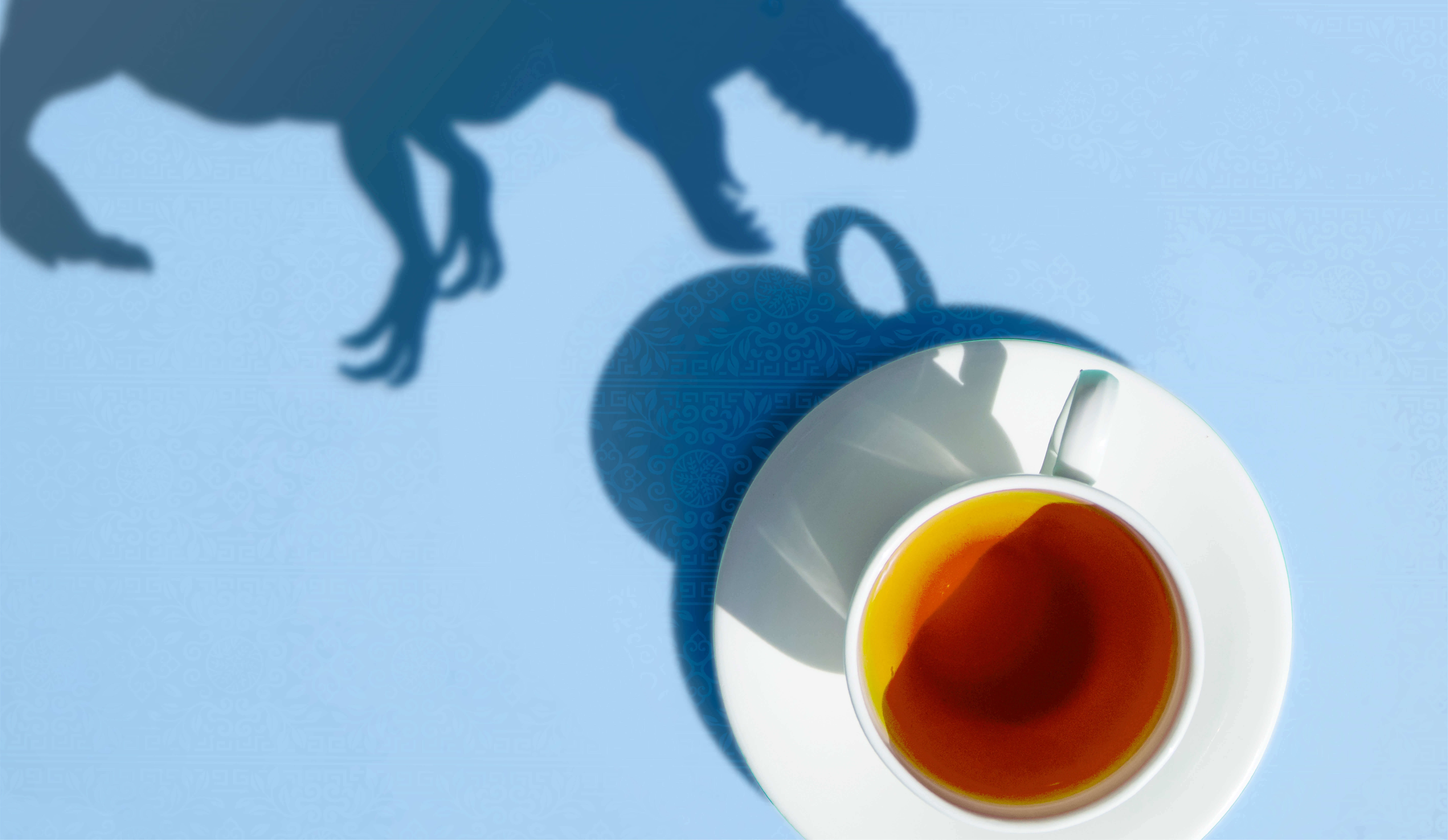 Oricha, Brand Story Main image