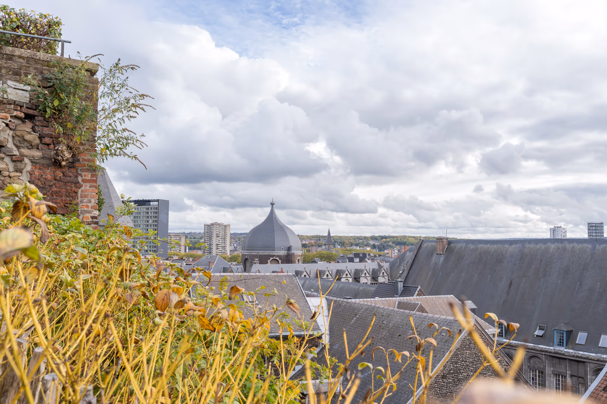 Vue sur les toits de la ville de Liège  avec le dôme de la collégiale, des immeubles en arrière-plan et un ciel nuageux.