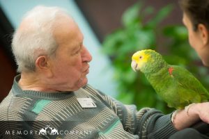 Pet Therapy