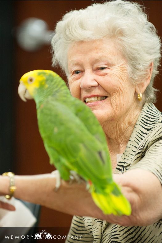 Pet Therapy