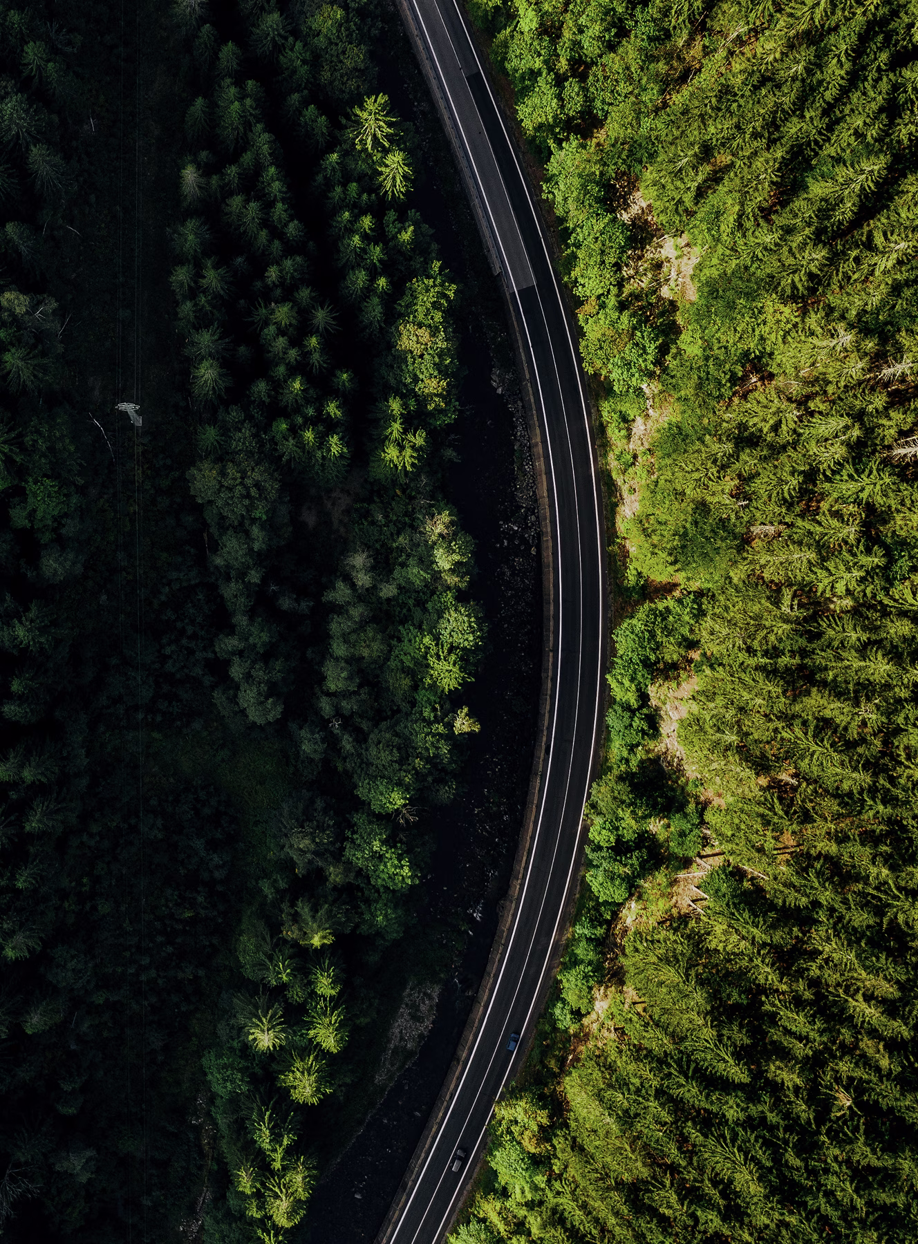 Vue aérienne d'une route sinueuse bordée de forêt dense et verte.