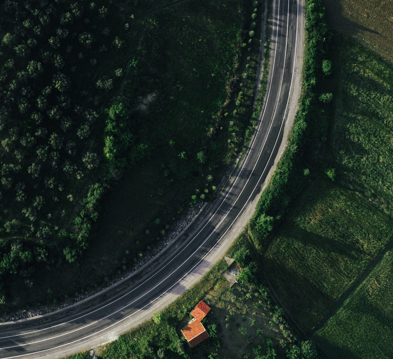 Vue aérienne d'une route courbée bordée d'arbres avec deux petites maisons aux toits rouges près du bas.