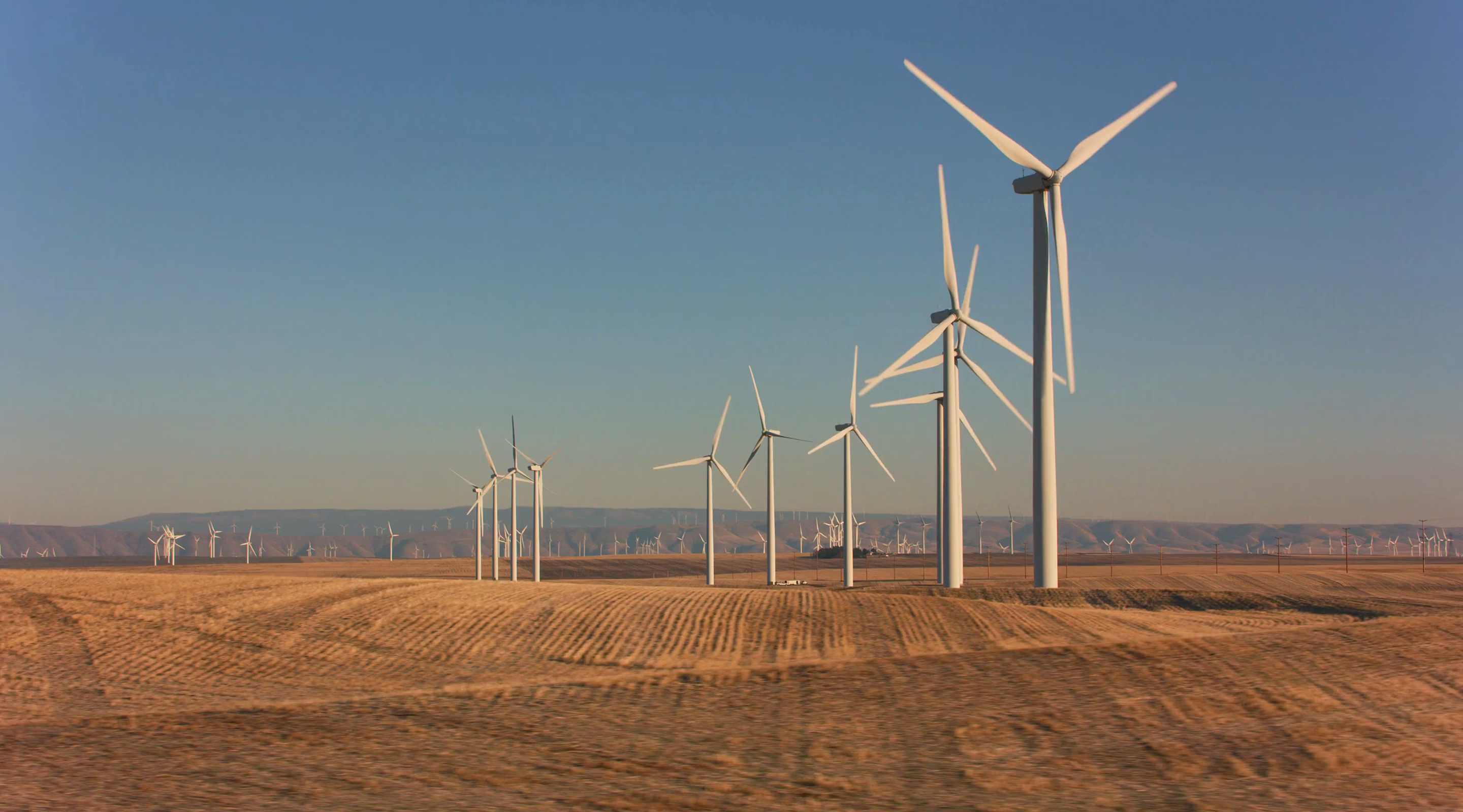Champ de grandes éoliennes blanches sous un ciel bleu clair au-dessus d'un paysage plat et sec.