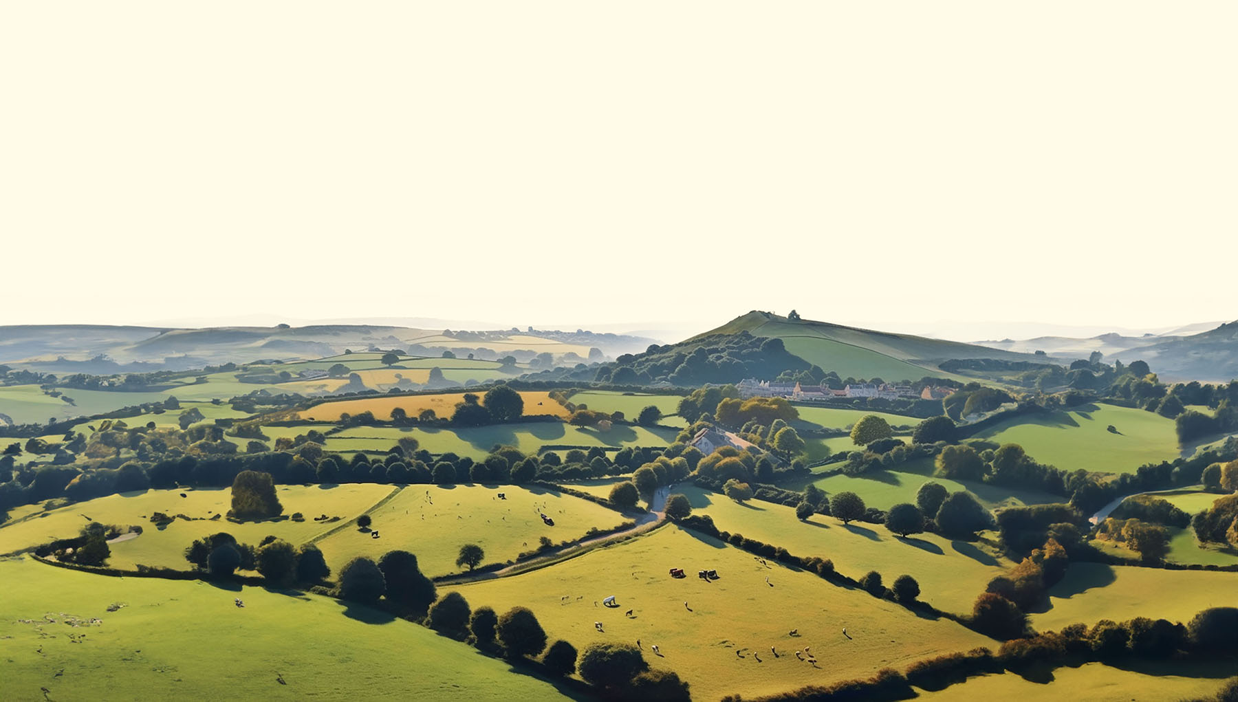 Somerset Countryside