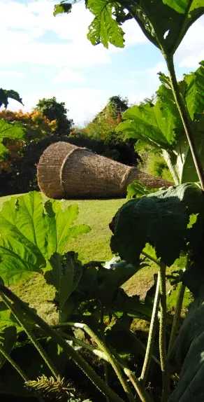 What are you doing for Somerset Day this year? Don’t forget it’s on Friday 11th May 2018