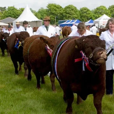 This year’s Somerset Day has been the biggest and best yet!