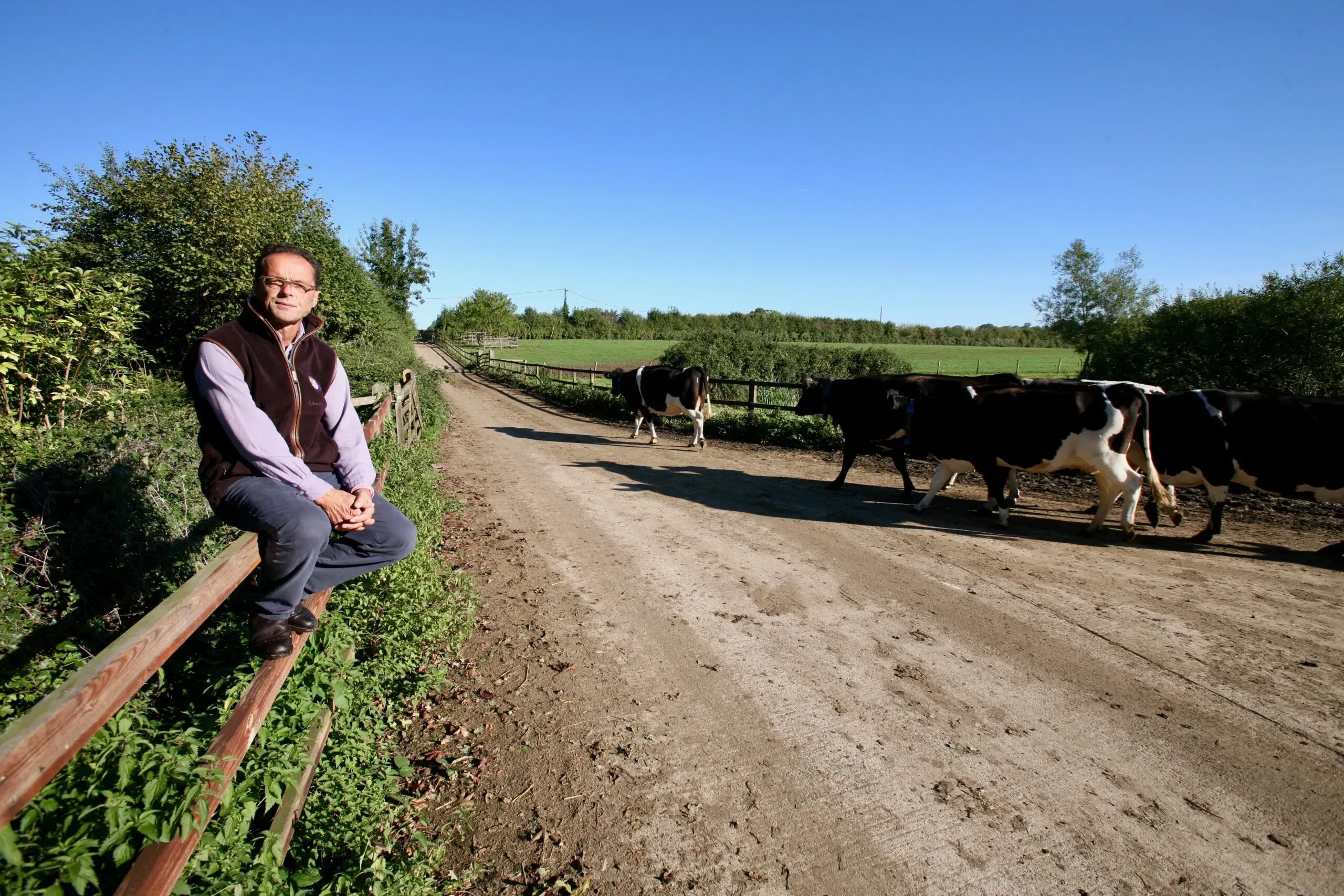 Somerset Day welcomes renowned cheese brand as new partner