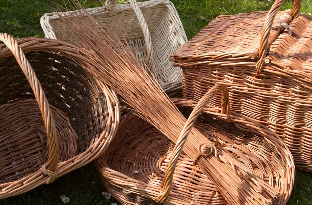 Somerset Day welcomes Coates English Willow as an Official Partner