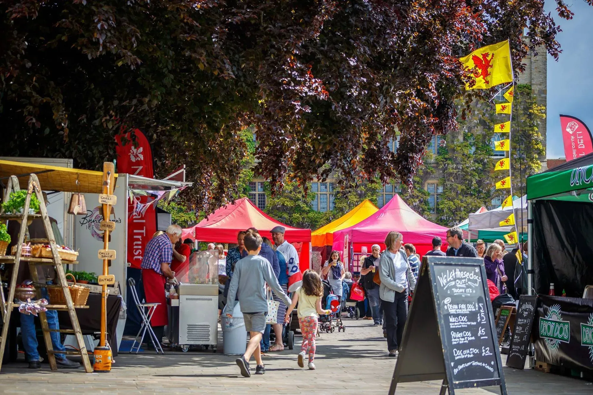 eat:Festivals ready to host Somerset Day event