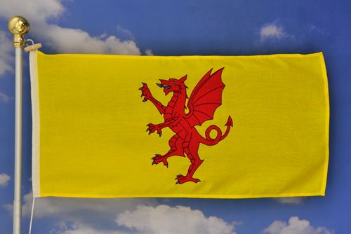 Somerset Flag