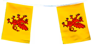 Somerset Bunting