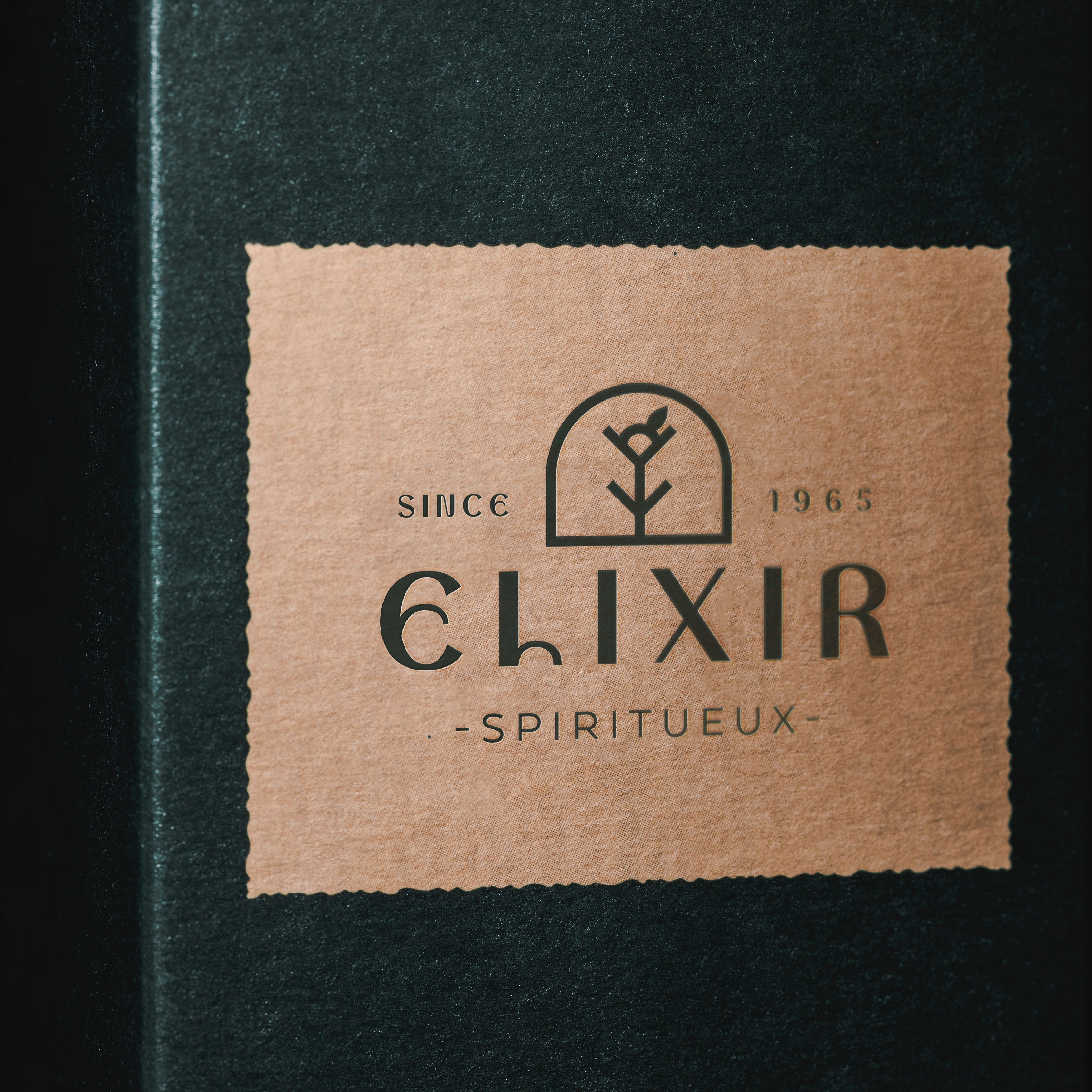 Logo boite Elixir