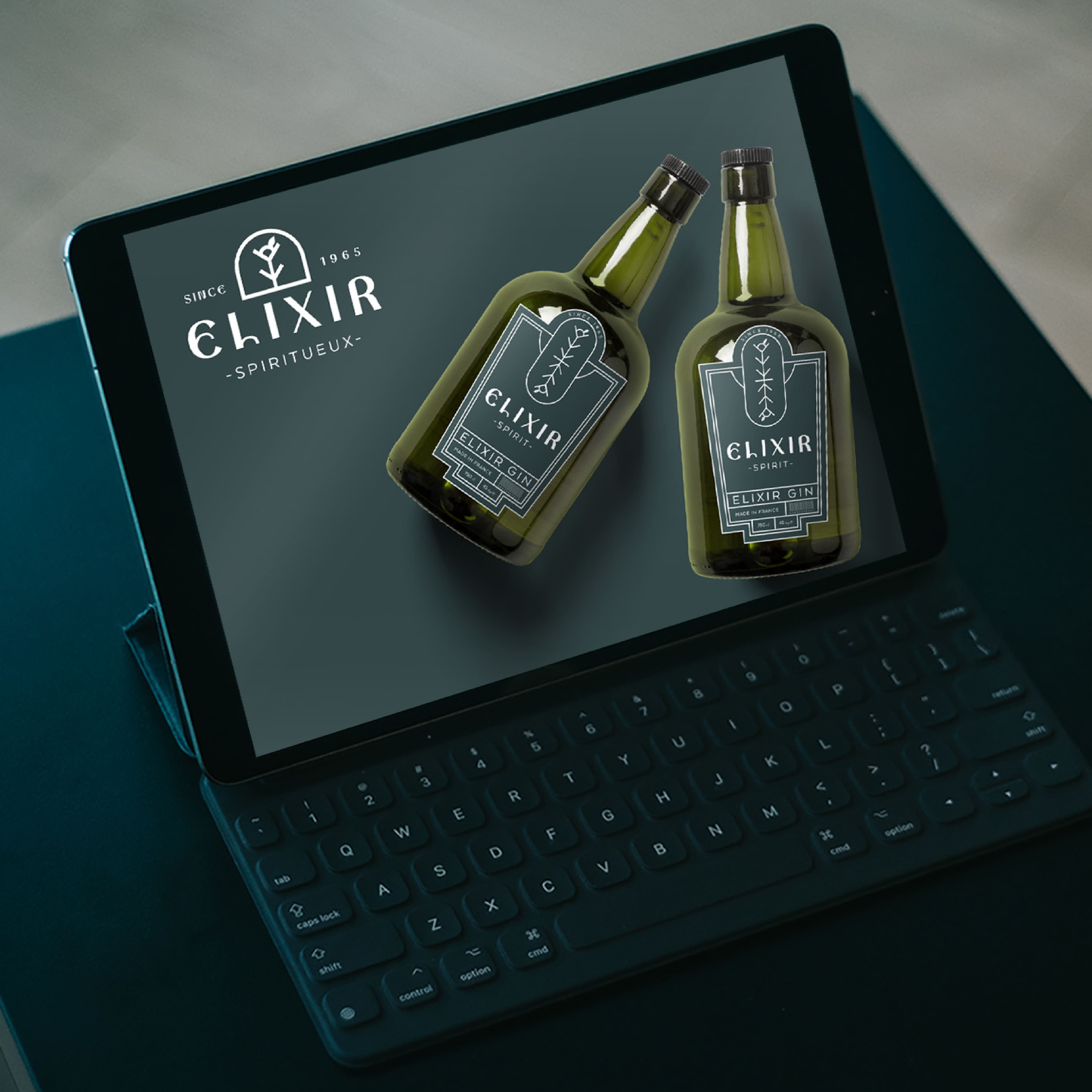 Mockup Site web Elixir
