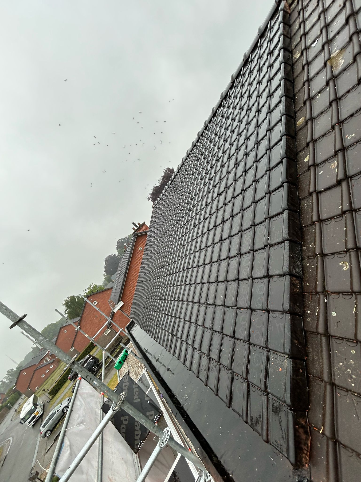 Dakwerken Deinze Ten Rodelaan – werf foto 6