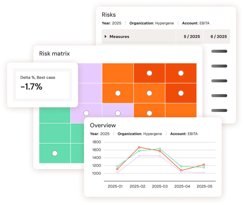 Illustration of Hypergene's strategic planning - risk matrix, forecast and financial overview