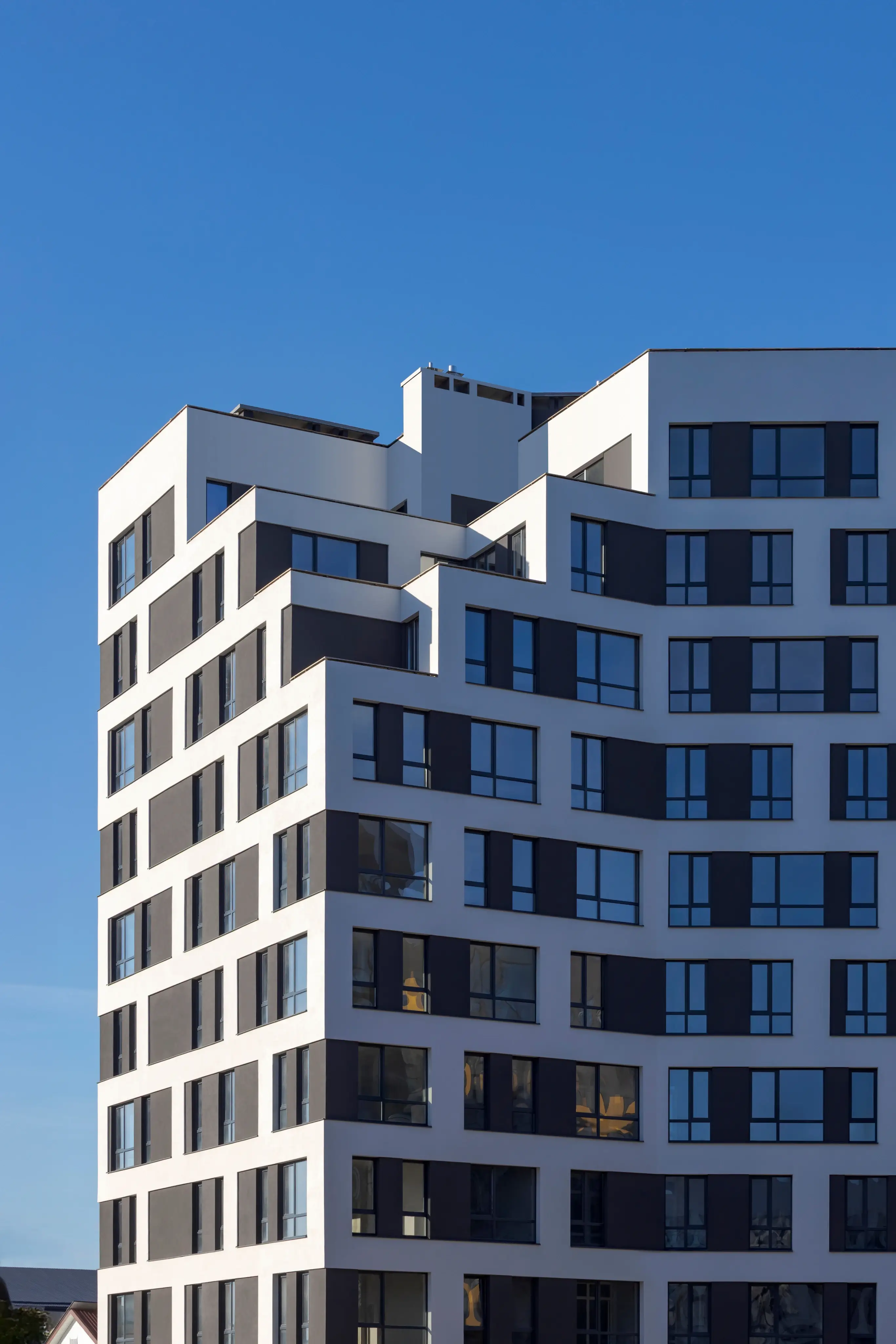 Riel-developer-2