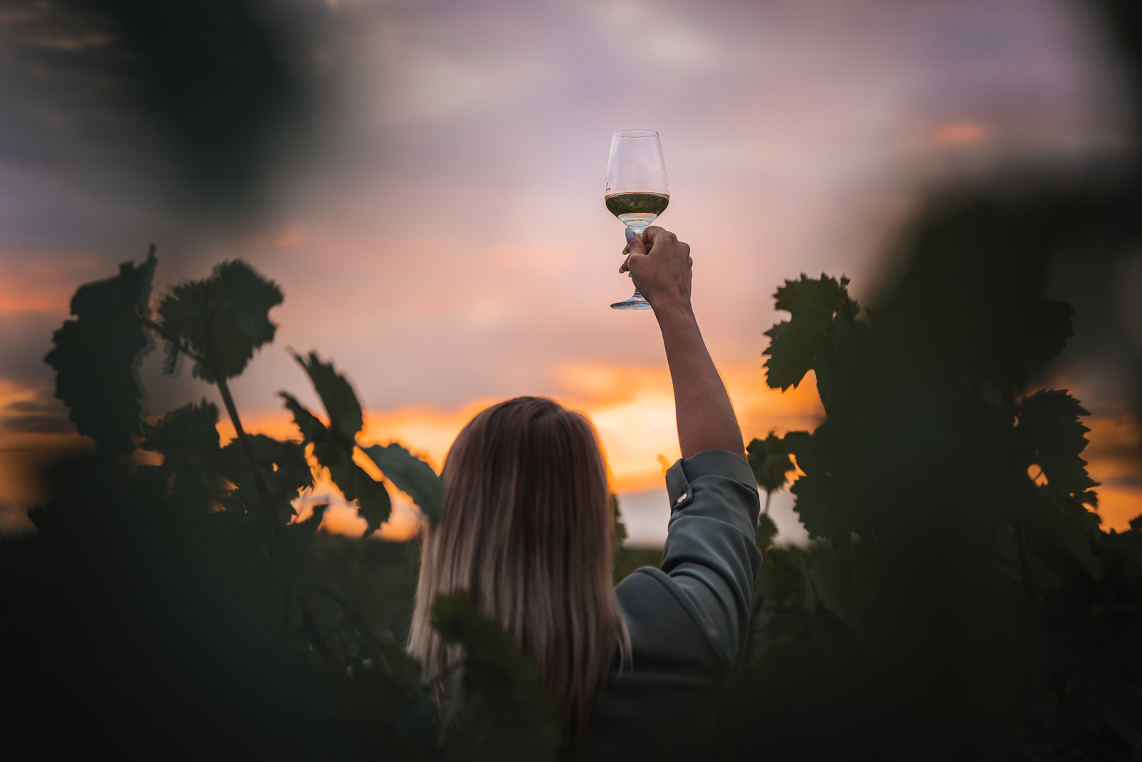 Frau hebt ein Glas Wein in die Luft vor Sonnenuntergang im Weinberg – stimmungsvolle Abendaufnahme