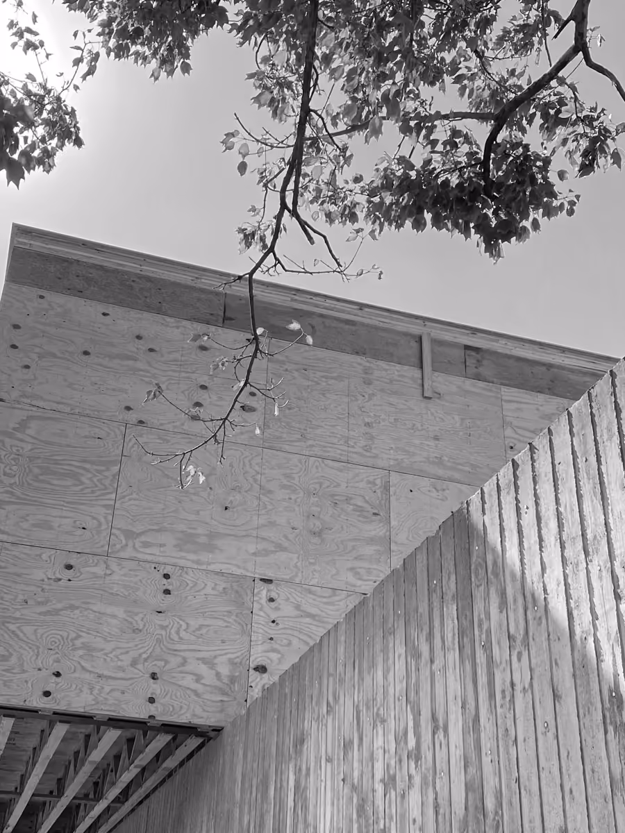 Sustainable wooden building features plywood exterior walls and a leafy tree canopy overhead.
