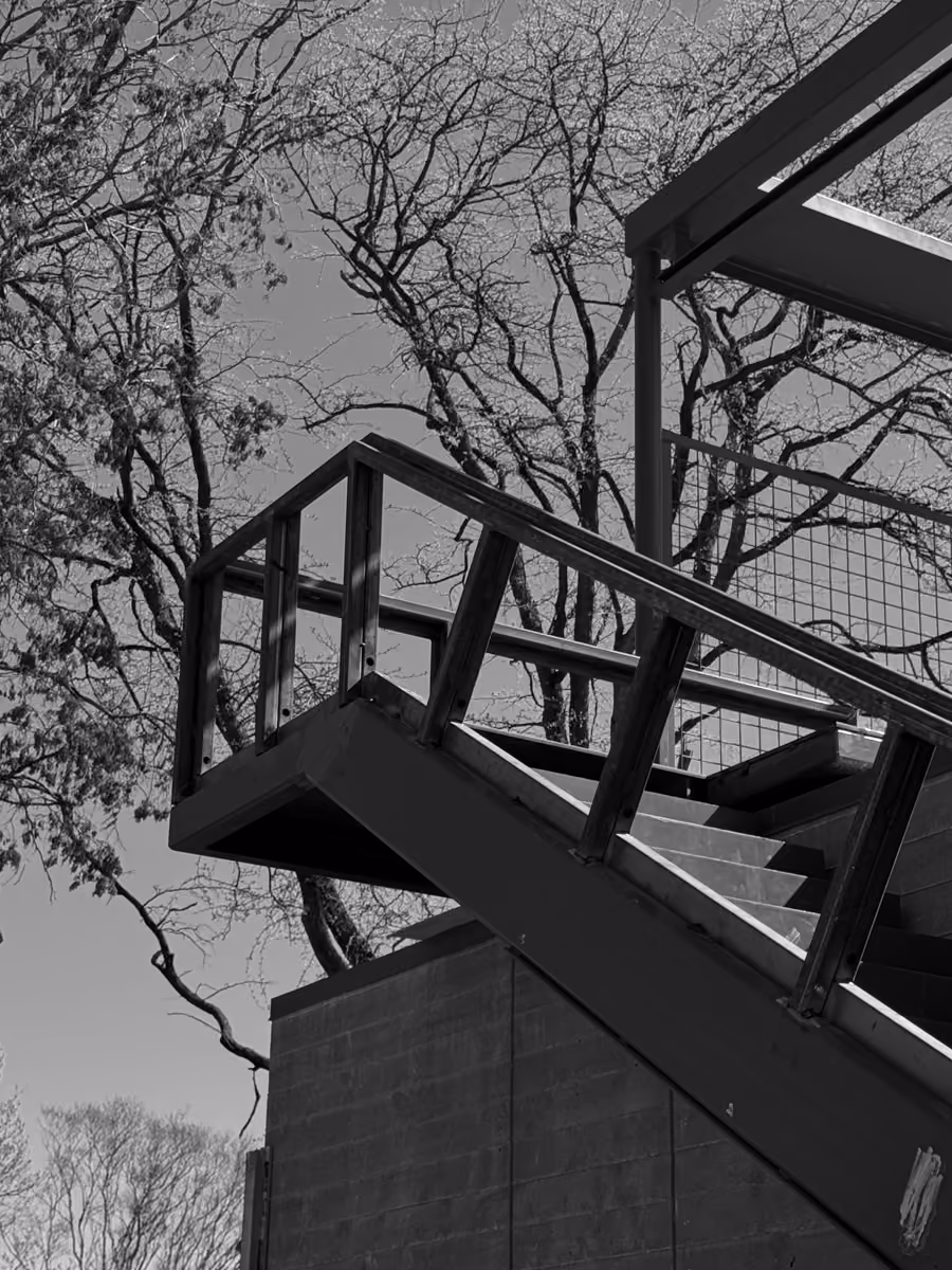 Stunning metal staircase with modern railing amidst bare trees on outdoor concrete structure.