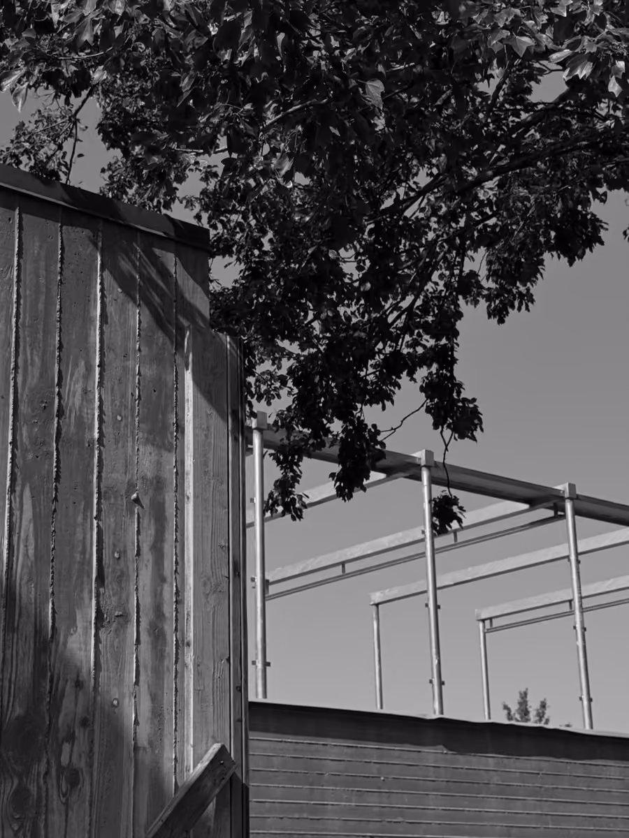 Outdoor backyard scene featuring wooden fences and metal structures under tree branches naturally.