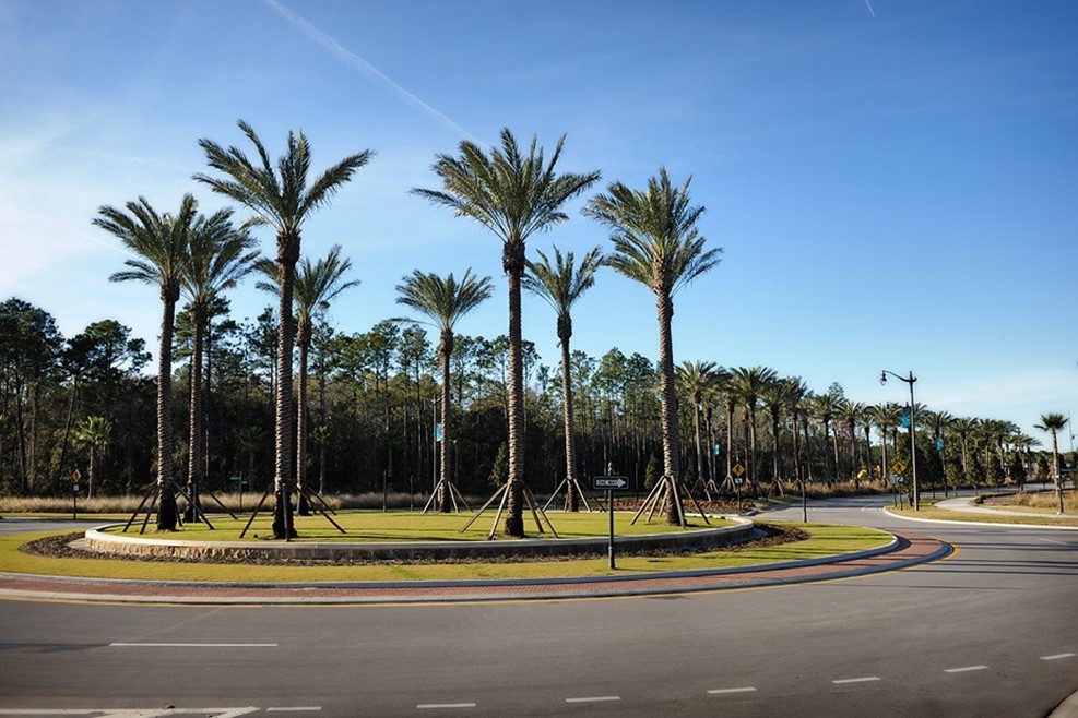 Palm trees line a curved road roundabout on a clear sunny day
