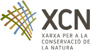Logo XCN