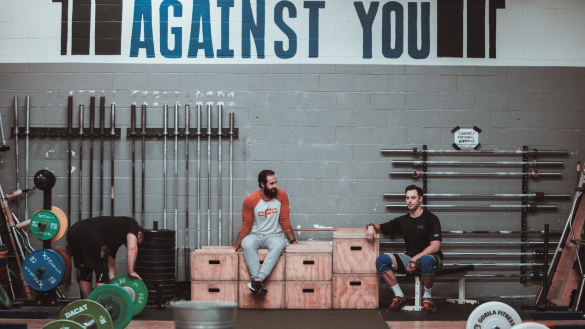 Header Image
