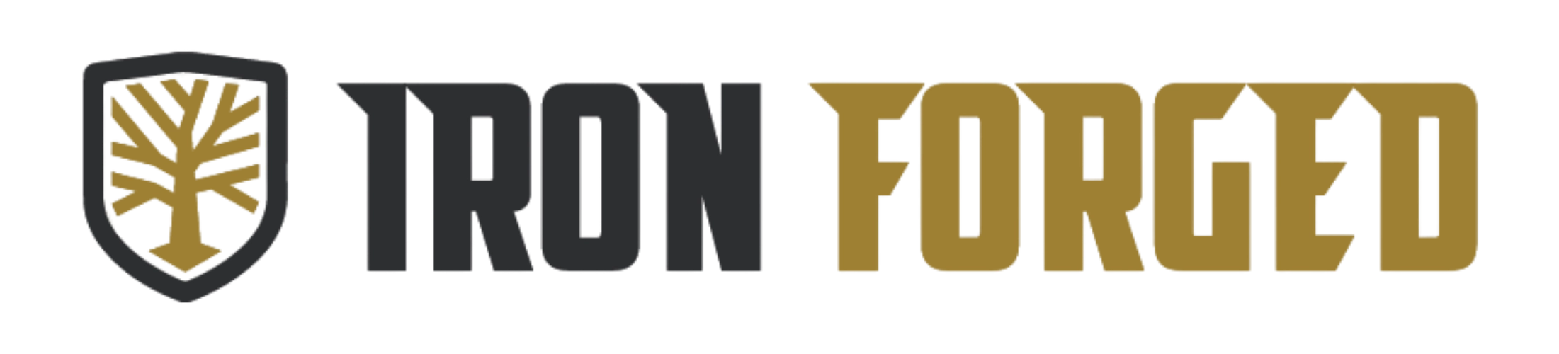Iron Forged Coaching