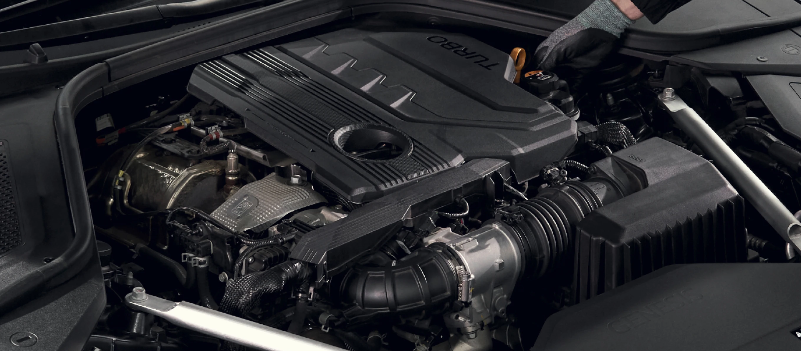 Genesis engine bay