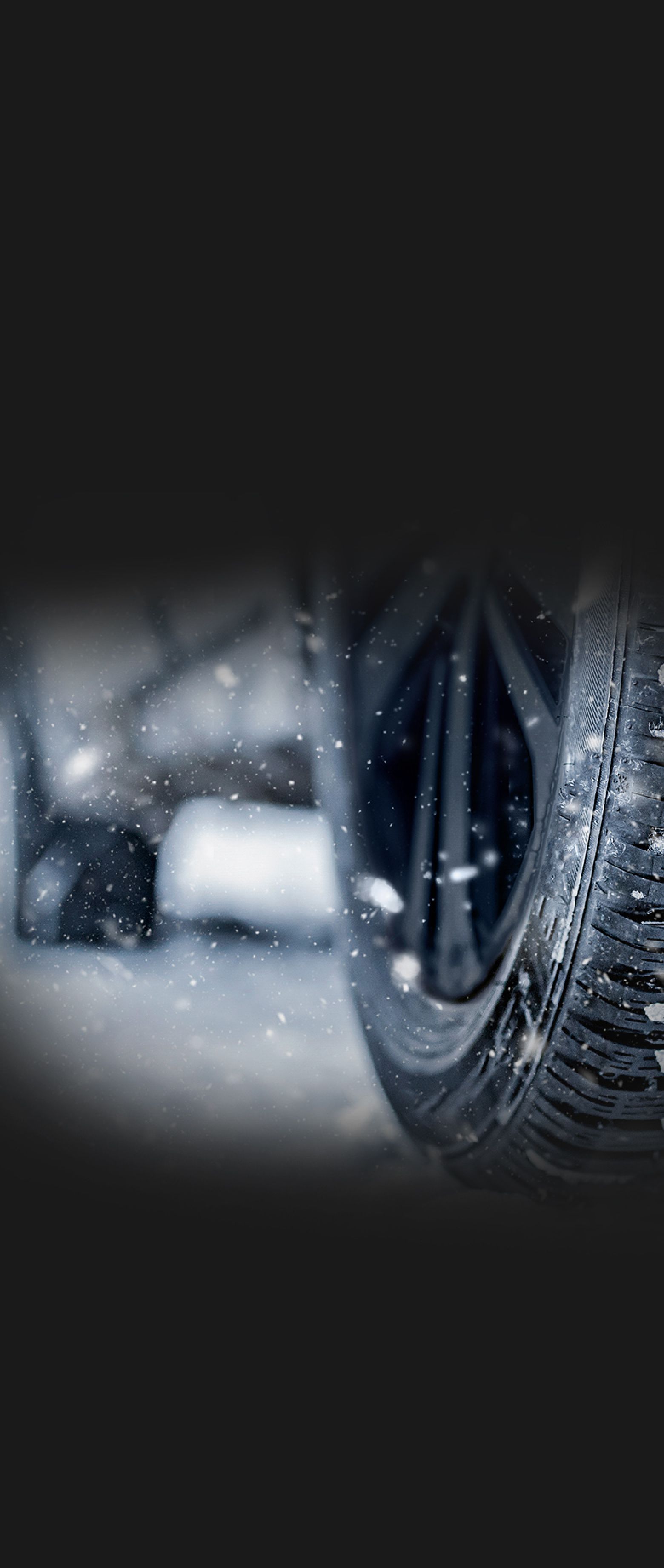 Close-up view of Genesis tire in snow