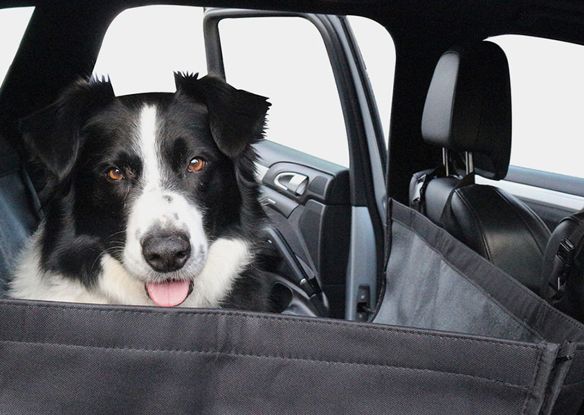 Rear seat cover in Genesis