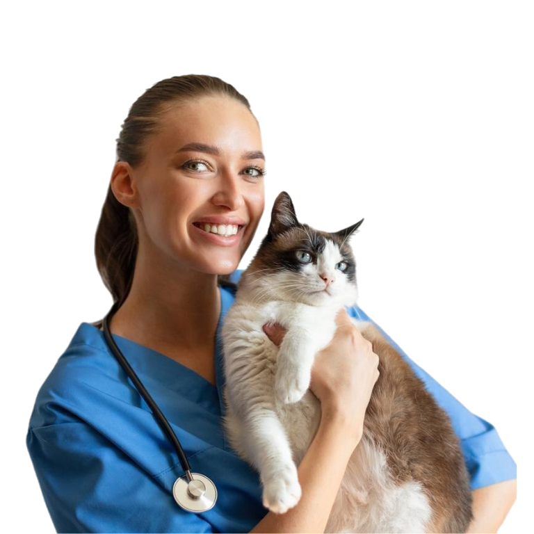 Veterinaria sonriente sostiene a un gato siamés
