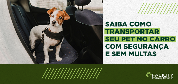 Transporte seu pet no carro com segurança e sem multas.
