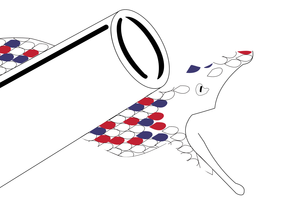 Conceptual image of America