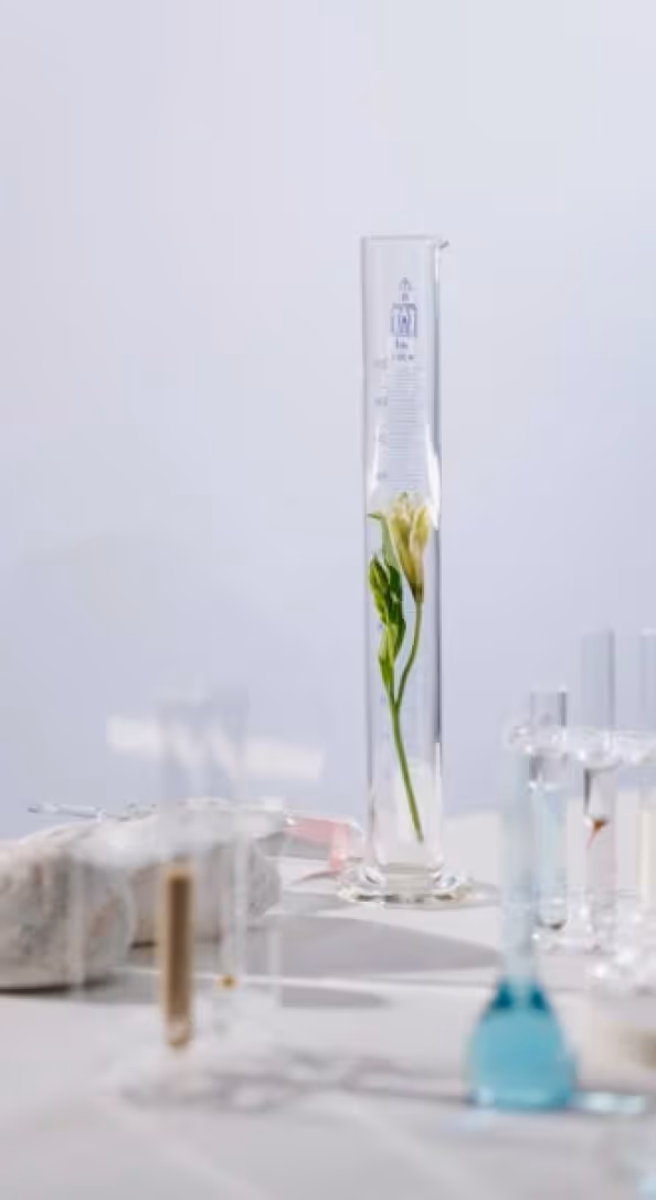 close up of a cosmetic lab
