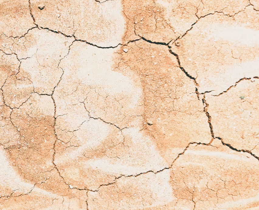 cracked earth, to represent damaged skin
