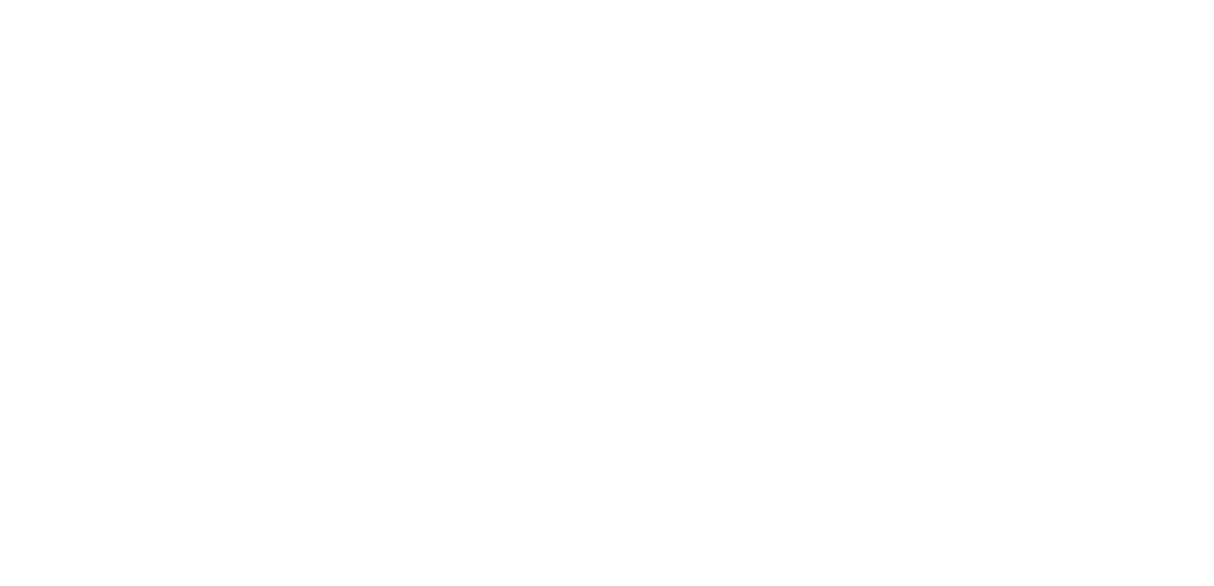 VV Academy logo