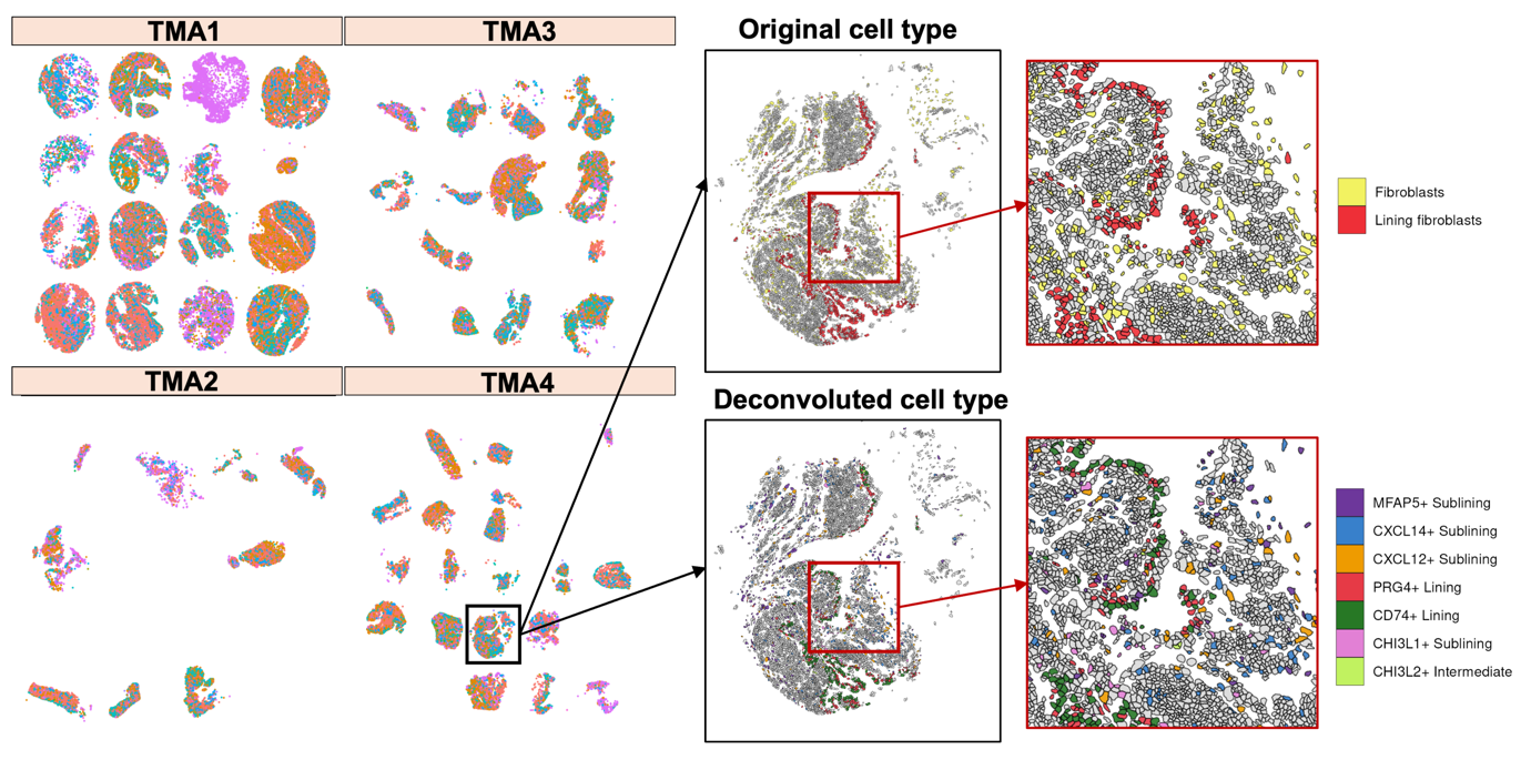 Comparison of original cell type assignment versus deconvoluted assignment, with zoomed-in regions showing fibroblast subtypes