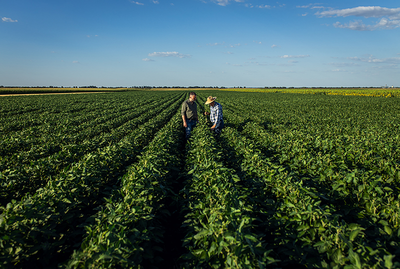 Phospholutions Marks Year of Growth; Adoption Accelerates Ahead of Spring Farming Season