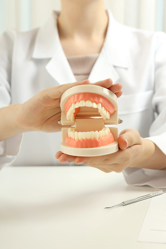 Dental professional holding a full denture model to demonstrate tooth and gum replacement.