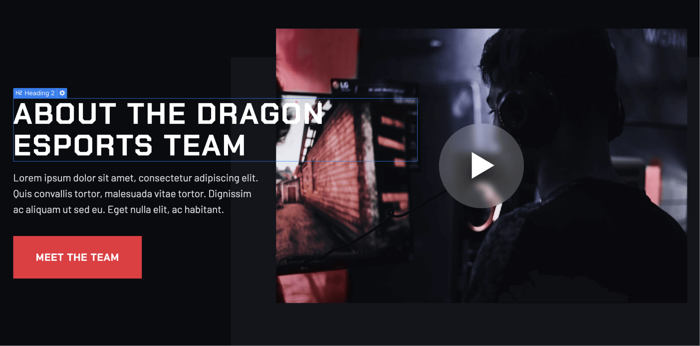 Static Content - eSports Webflow Template