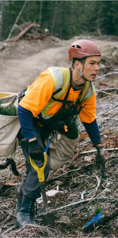 A tree planter working on site.