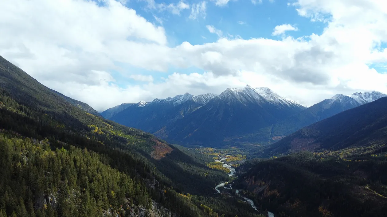 Looking down on a forested valley with snow-capped peaks on the horizon.