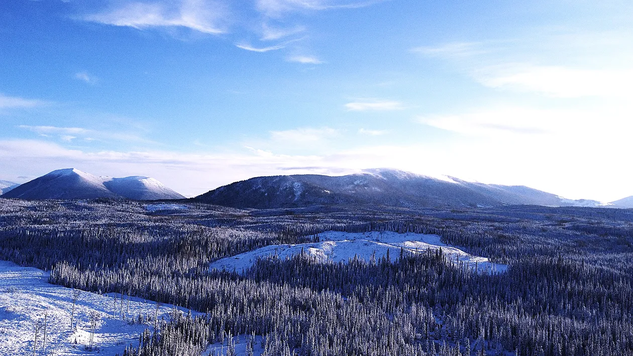 An expansive view out across a snow-covered, forested landscape.