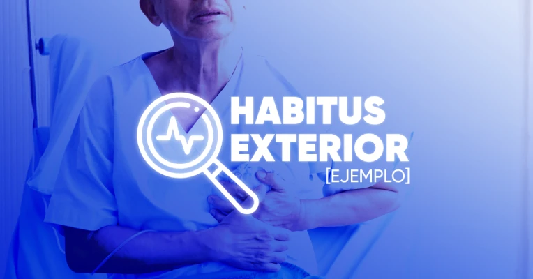 Habitus Exterior [Ejemplos]