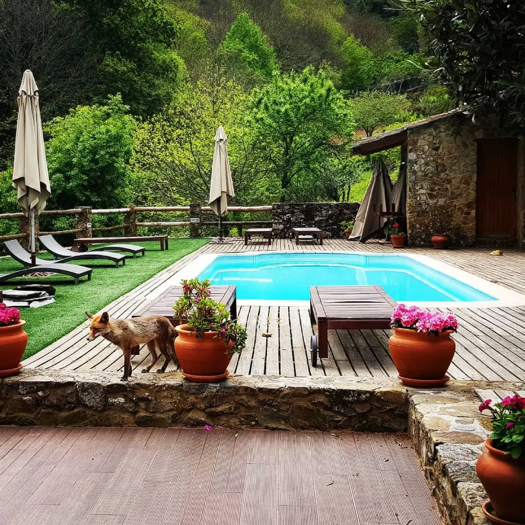 Freeride Spirit basecamp in Schist village